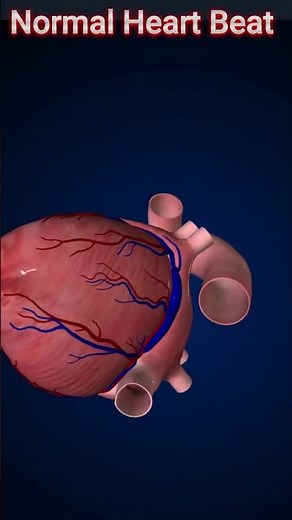 Normal Heart Beat | @monkkarmashorts #shorts #heartbeat