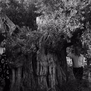 Watch the new music video for 'I Lost Something in the Hills', a track from Mick Harvey & Amanda Acevedo's duets album. Catch them on tour in Australia this November; dates & tickets: https://www.mickharvey.com/tour-dates Phantasmagoria in Blue, out now on vinyl, CD and digital: https://mute.ffm.to/mhaa_pib | Mute Records