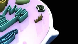 3D Human cell animation