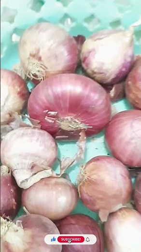 How to store onions for a long time