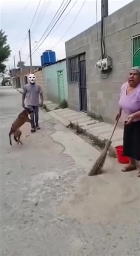 📌 Therian vs perro real 🤦🏻‍♂️🤦🏻‍♂️🤦🏻‍♂️ (no que muy perro)🐶 #therian #perro #fyp #parati #mexico