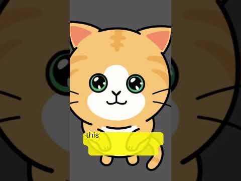 perfect reading program