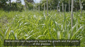 3.1K views · 223 reactions | (English below) នៅក្នុងវីដេអូ វគ្គ៤ នេះ...