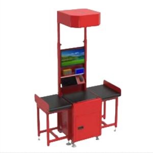 [Hot Item] Intelligent Parcel Sorting System with High Accuracy Barcode Reading