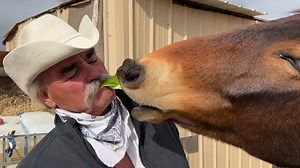25K views · 3.7K reactions | Wild mustang. Rescue. #HomesteadRescue #raneyranch | Marty Raney | Facebook