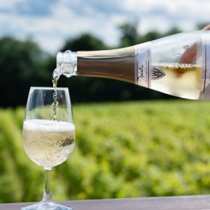 34 reactions | Welcombe Hills Vineyard, Stratford-upon-Avon. Producing award-winning English sparkling and still wine from grapes grown on the Welcombe Hills. 10% Off All Wines Using Code: FATHERSDAY Online Shop - Gift Packs - Wine Tastings! Click to see more! | Stratford Herald | Facebook
