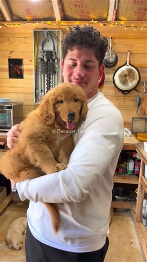 Play date with the Dohm’s😍