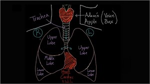 Oops. Something went wrong. Please try again.