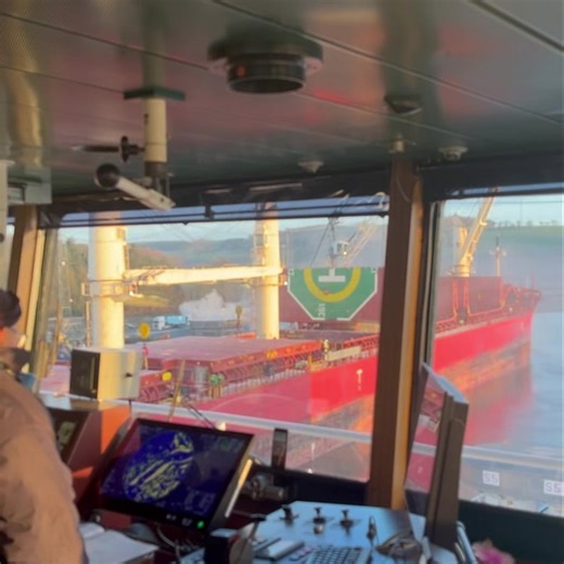 This is a view from inside the bridge of the MV Alondra livestock vessel as she sets sail from Belview port on route to Oran port Algeria with its cargo of Irish Holstein dairy heifers and feeding bulls. #shipping #livestock #Alondra #algeria | cows.ie - David Clarke Livestock