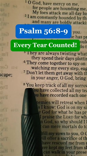 Every Tear Counted! Psalm 56:8-9 NLT #scripture #bible #tears #bibleverse #fyp