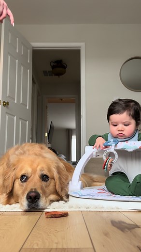 BeauNoseBones on TikTok