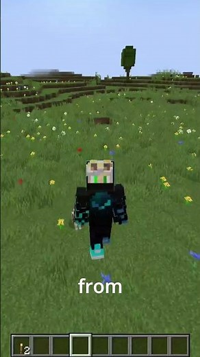 This Secret Button Shows You Where Mobs Spawn!