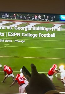 Nate Frasier apology explained: UGA football running back update