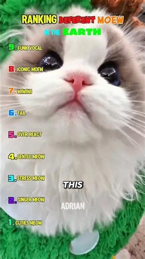Ranking different meows on earth#shorts