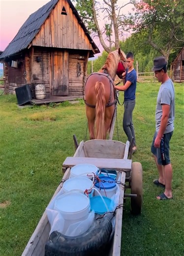 783K views · 18K reactions | Traditional Way in an Isolated Village | Village Cooking | Facebook