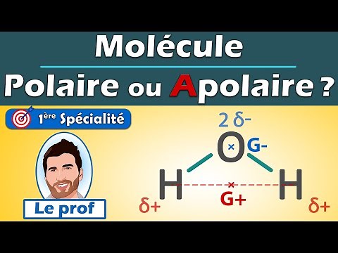 POLAR or NONPOLAR? 💡 Methodology: Water molecule H2O | 1st year of specialized Physics and Chemis...
