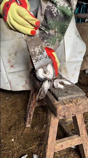 The master's technique for trimming donkey hooves is very skilled, with each cut made swiftly and