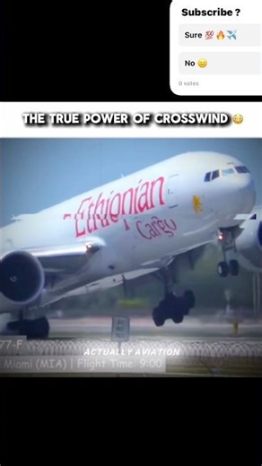 INSANE Crosswind Landings 😳🤯 (the true power)