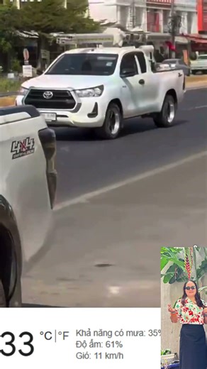 Chú Labra Ngồi Nắng Trên Xe Thè Lưỡi Và Nhìn Chủ Đang Mua Đồ