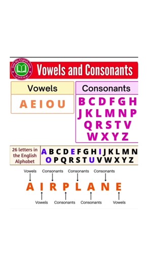 Variable vs Constant | Basic Math & Programming Concepts 🔥