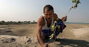 This Man Singlehandedly Planted A Forest Larger Than Central Park Over The Course Of 40 Years