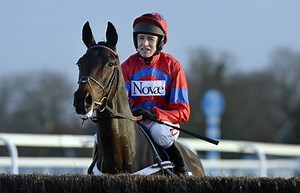 Sprinter Sacre to miss Cheltenham Festival - Horse & Hound