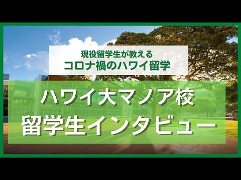 ハワイ大学と言ったらココ！ハワイ大学マノア校の現役留学生に、留学経験を語っていただきました！