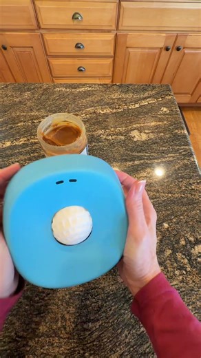 Ultimate Yipetor Slow Feeder Dog Bowls Review for Women 30+ 🐾 #PetProducts #DogLovers #Trending