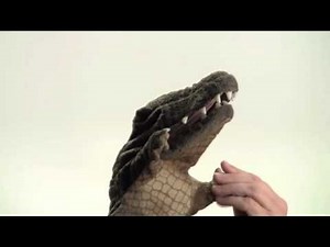 Folkmanis Crocodile Puppet Review