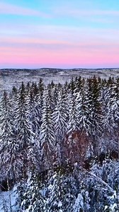 3.5K views · 255 reactions | Winter wonderland ❄️懶 Lillomarka, Oslo  | Oddvar Arnesen, Norway. | Facebook