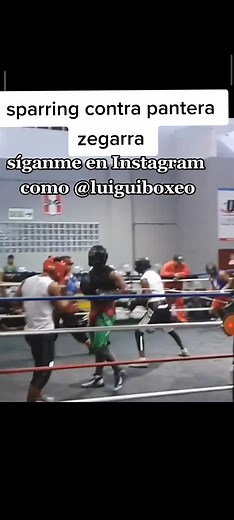 sparring contra #panterazegarra #boxing #box #fypシ #viral #sparringhighlights