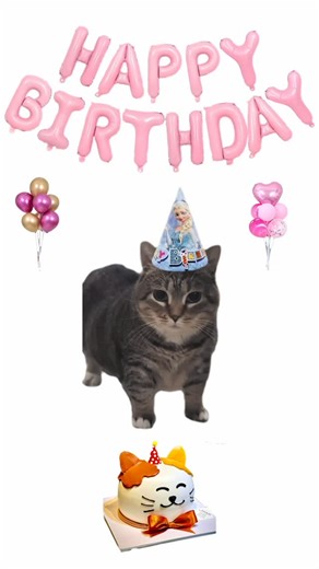 Happy Birthday Wishes, Images, Status, Reels on Instagram: "Happy Birthday To You🥳❤️🔥 #happybirthday #birthdaycake #birthdaywishes #cat #catbirthday #happybirthdaytoyou"