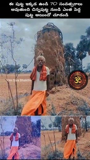 ఇతను వెనకాల ఉన్నది ఎంత పెద్ద పుట్టనో చూడండి #god #snake #hindudeity #devotional #shiva #krishna
