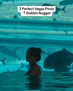 You better be ready to go deep when you visit Vegas. NFL Las Vegas Super Bowl LVIII Host Committee | Visit Las Vegas