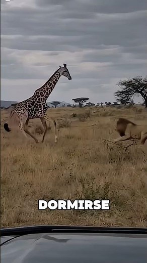 This kid has really weird dreams 🤯