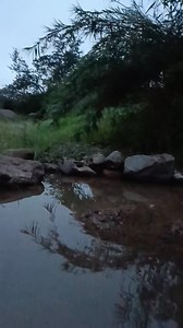 Autlán, Jalisco on Reels