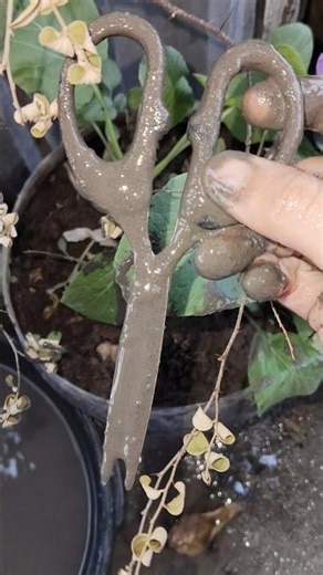 A RAM SAM SAM chici tunz #shorts #funny #youtubeshorts #shortvideo