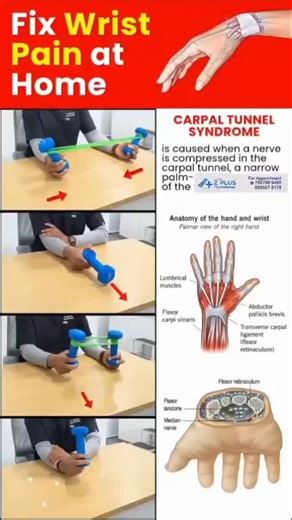 Wrist pain? Don’t ignore it! 洛 Fix it at home with the right moves  Give them the care they deserve 懶 Tips by ZPlus Physiotherapy for lasting relief 懶喙✨ . . #WristPain #HomePhysio #ZPlusPhysio #PainRelief #PhysiotherapyWorks #MoveBetter #ZPlusPhysiotherapy #WristCare #PhysioTips #HomeExercise #JointHealth #PainManagement爐 | Z+ Accident and Orthopedic Hospital & Physiotherapy | Facebook