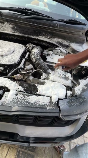 I De-Greased My Entire Engine Bay