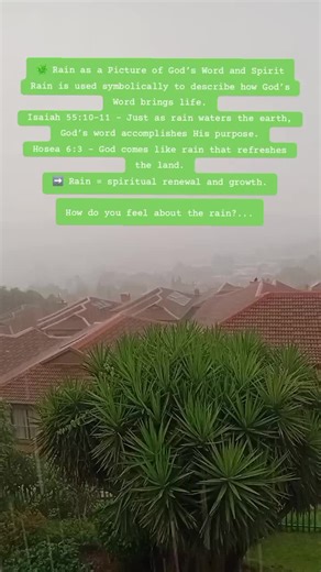 🌿 Rain as a Picture of God’s Word and Spirit Rain is used symbolically to describe how God’s Word brings life. Isaiah 55:10–11 – Just as rain waters the earth, God’s word accomplishes His purpose. Hosea 6:3 – God comes like rain that refreshes the land. ➡️ Rain = spiritual renewal and growth. I'd love to hear how you feel or what you think about the rain... 🩷 #fyp #rain #godisgood #blessings #abundance