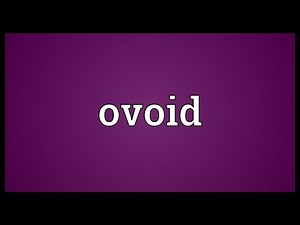 Ovoid Meaning