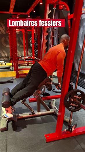 Beaucoup de gens pensent que le travail des fessiers est réservé aux femmes pour l’esthétique. En réalité, c’est un des muscles les plus importants du corps humain, pour les hommes comme pour les femmes. 1️⃣ Le moteur de la puissance Le Grand fessier est le muscle le plus puissant du corps. Il intervient dans : marcher courir sauter se relever pousser lourd Sans fessiers forts, la puissance du corps diminue énormément. #glutes #gym #CapCut #training #fitnessmodel