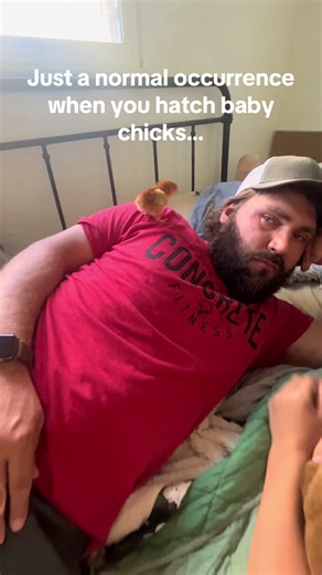 Normalizing the Hatch of Baby Chicks