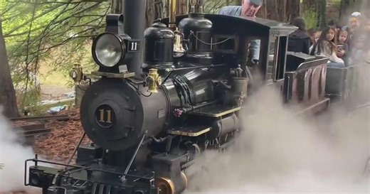 Dispute over lease agreement jeopardizes beloved East Bay children's attraction