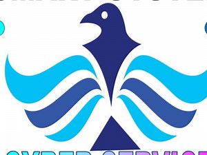 Data entry (entry level)