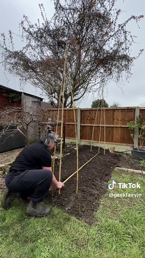 Build a Sweet Pea Trellis in 15 Minutes