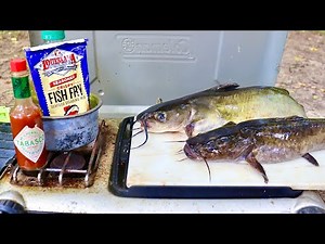 Channel vs Flathead Catfish Catch n' Cook! Which Tastes Better??