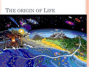 Journey to Life's Origin: From Spontaneous Generation to Aerobic Respiration - SlideServe