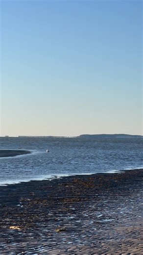 17K views · 836 reactions | Campground Beach - Eastham, Massachusetts Cape Cod - March 2025 - Video by: Mark TR Filteau Cape Cod, Massachusetts | Cape Cod, Massachusetts | Facebook