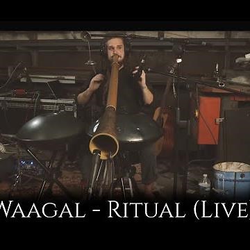 Waagal - Ritual (Live 4k) || Didgeridoo Handpan Asalato One Man Band Kashaka Cascas